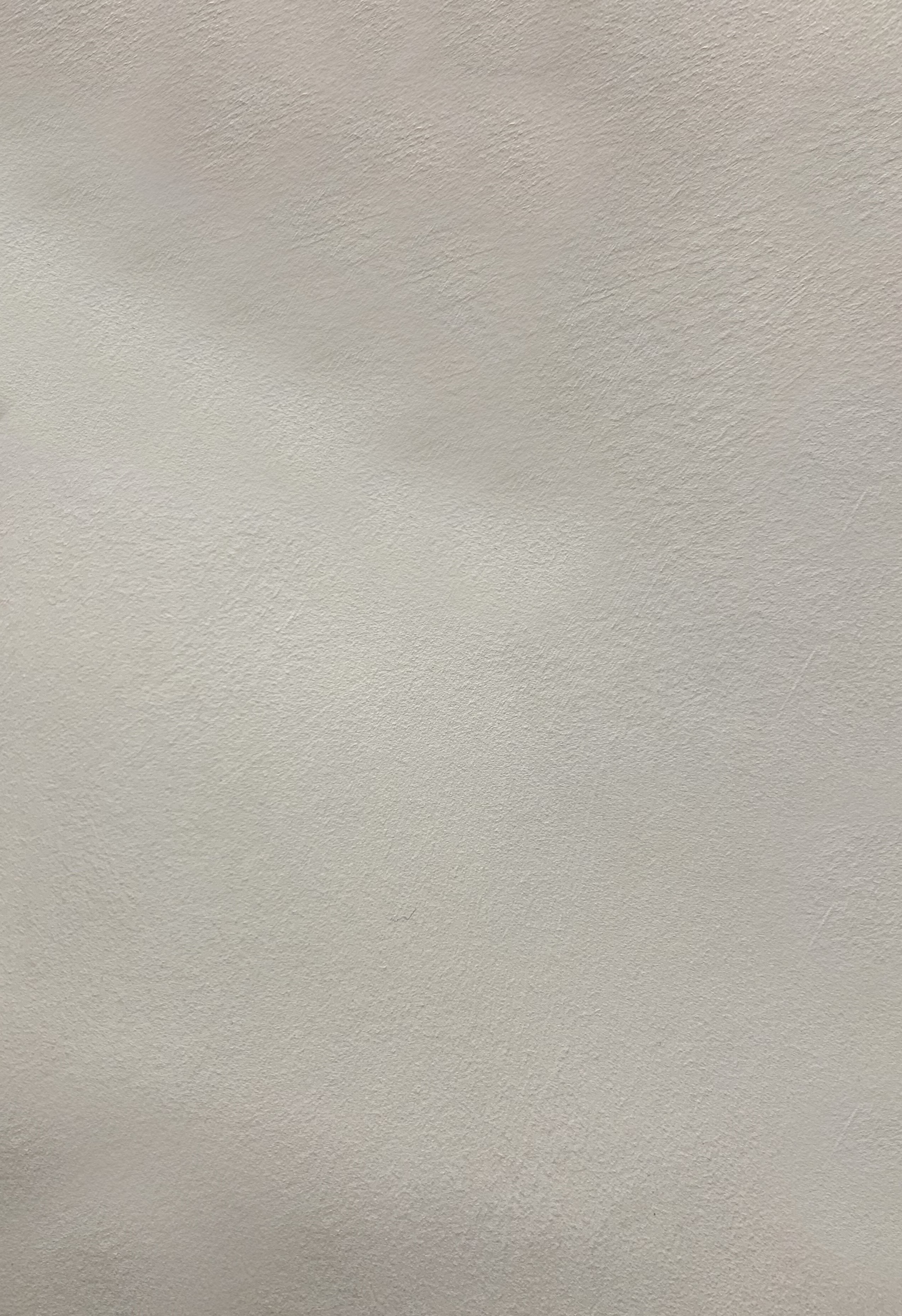 Краска декоративная Lanors Safari SF_024 3 кг