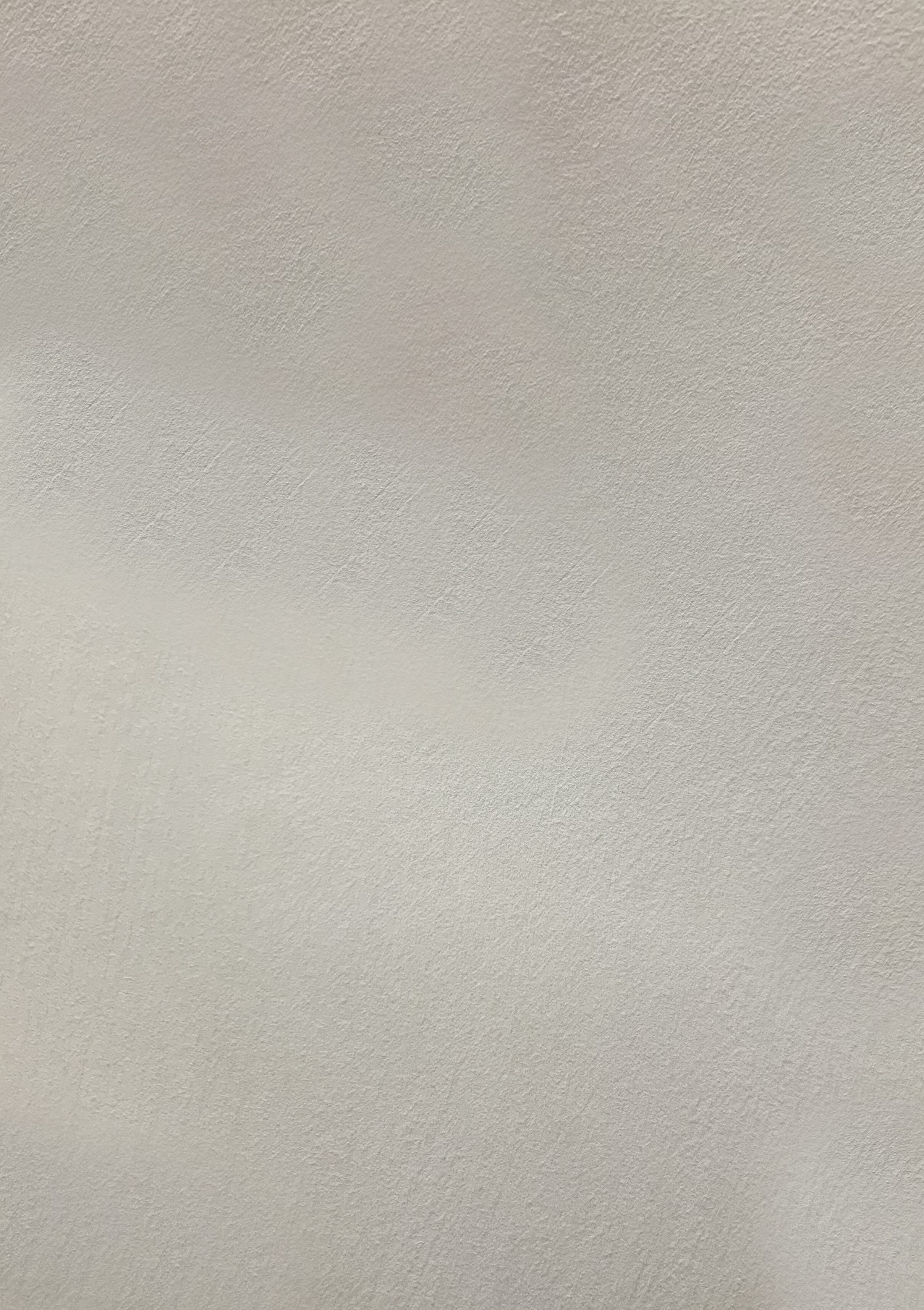 Краска декоративная Lanors Safari SF_030 3 кг