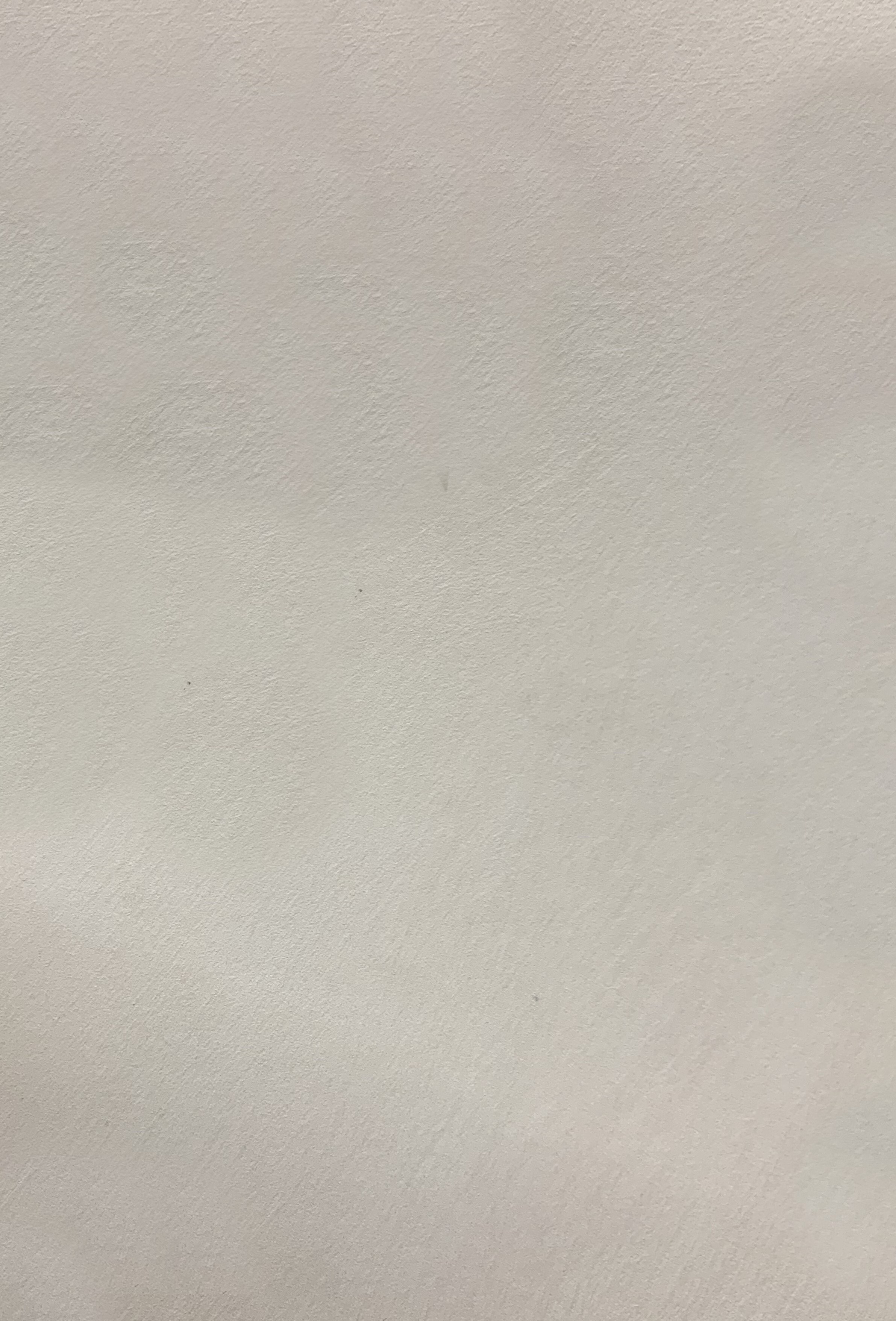 Краска декоративная Lanors Safari SF_044 3 кг