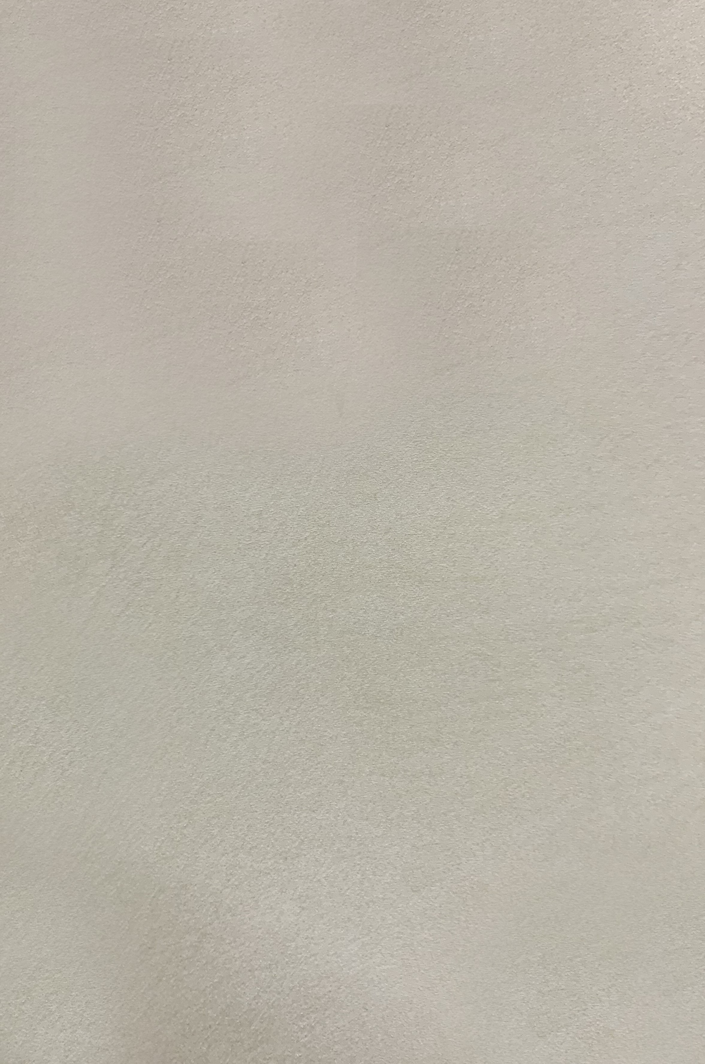 Краска декоративная Lanors Safari SF_061 3 кг