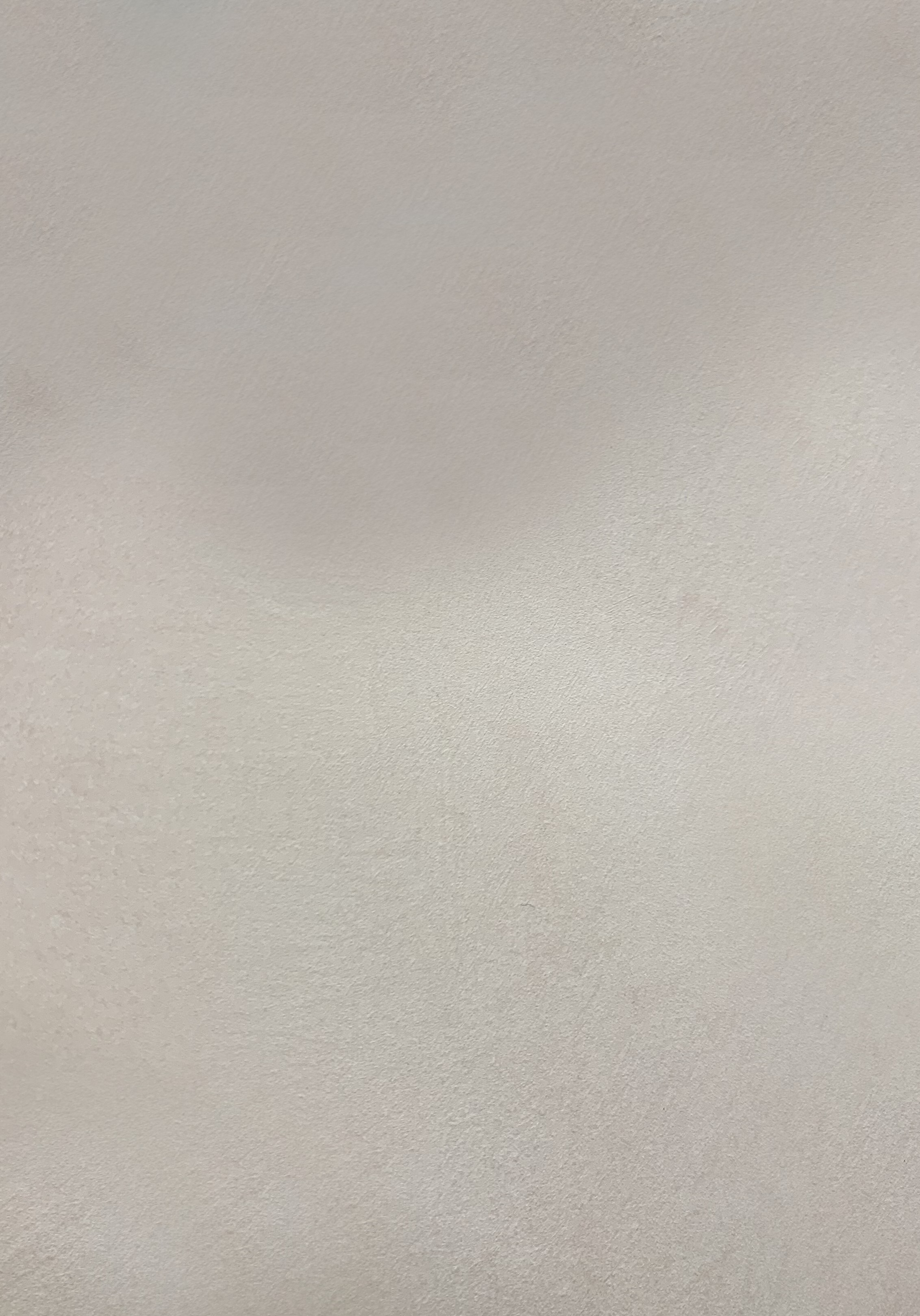 Краска декоративная Lanors Safari SF_064 3 кг