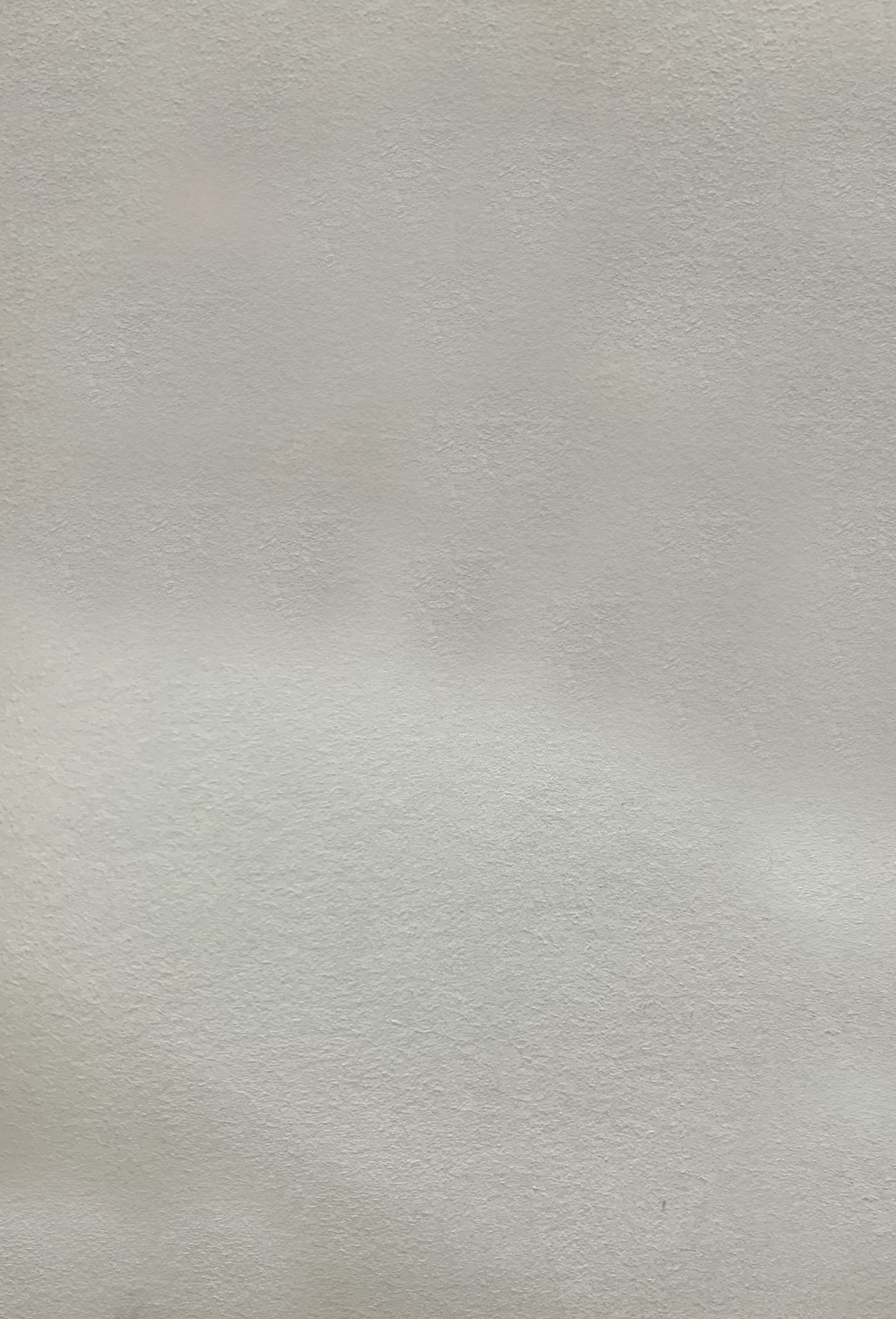 Краска декоративная Lanors Safari SF_074 3 кг