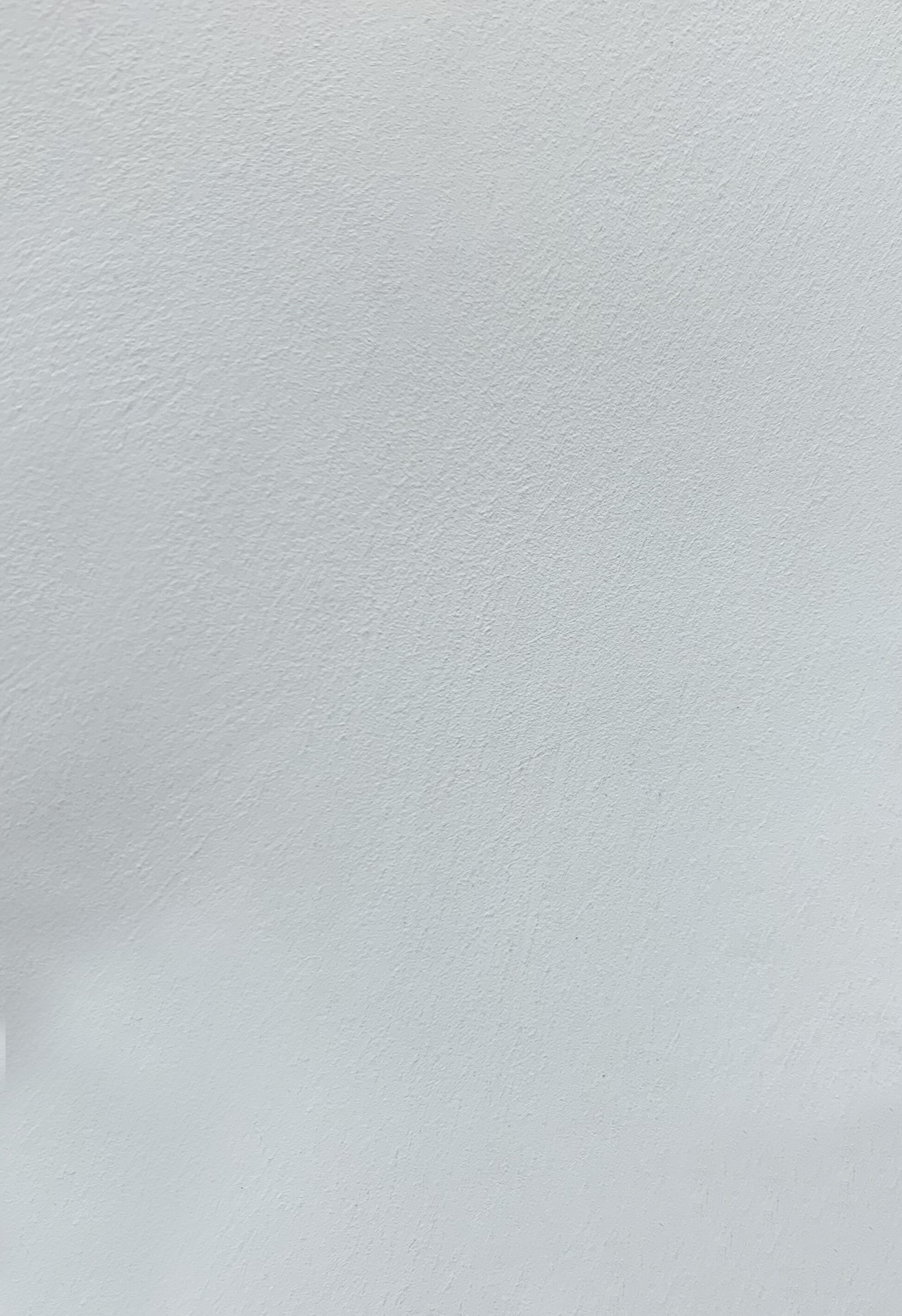 Краска декоративная Lanors Safari SF_101 3 кг