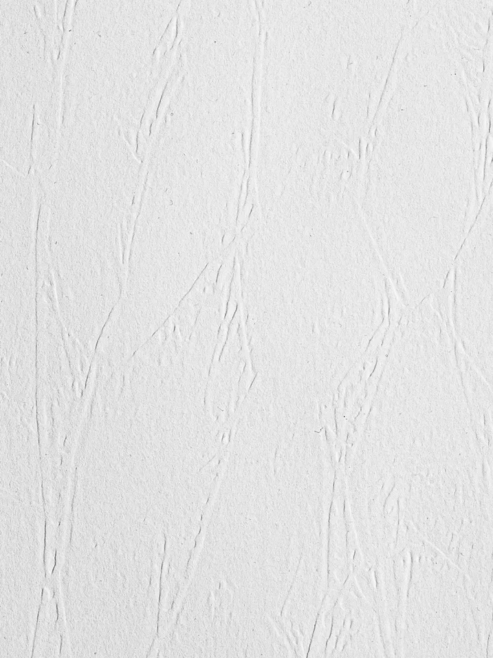 Обои под покраску New Company 9010-080 25×1,06