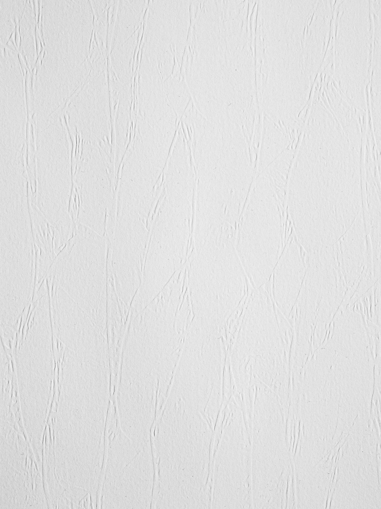 Обои под покраску New Company 9010-080 25×1,06