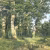 Фреска Affresco 4427