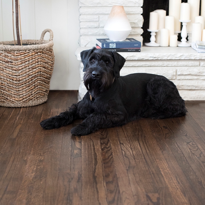 Масло с твердым воском TimberCare Hard Wax Oil цвет Шоколадный 350103 0,175 л фото в интерьере