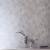 Обои Designers Guild Marquisette Fontainebleau-Silver PDG685/08 фото в интерьере