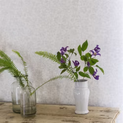 Обои Designers Guild Marquisette Arlay-Graphite PDG686/08