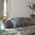 Обои Designers Guild Marquisette Torlonia-Chalk PDG693/01 фото в интерьере