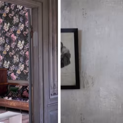 Обои Designers Guild Tulipa Stellata Delft Flower Charcoal PDG1033/01