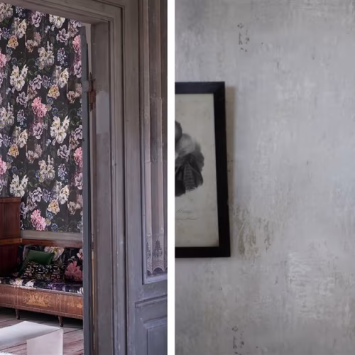 Обои Designers Guild Tulipa Stellata Delft Flower Charcoal PDG1033/01