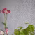 Обои Designers Guild Tulipa Stellata Pavonazzo Pewter PDG1031/04 фото в интерьере