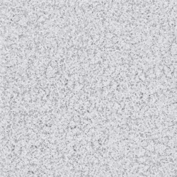 Обои Designers Guild Tulipa Stellata Pavonazzo Pewter PDG1031/04