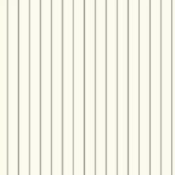 Обои Carey Lind Menswear MW9256