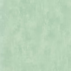 Обои Designers Guild Parchment Parsons Green PDG719/30