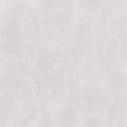 Обои Designers Guild Parchment Silver Birch PDG719/03