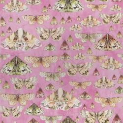 Обои Designers Guild Jardin Des Plantes Issoria Rose PDG713/03