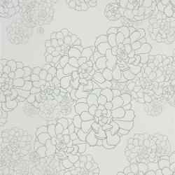 Обои Paint and Paper Library Tresco Aeonium Blue Gum 0393AEBLUEG