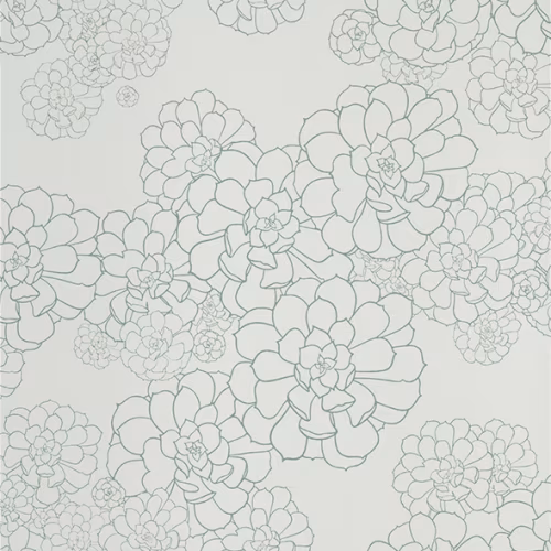 Обои Paint and Paper Library Tresco Aeonium Blue Gum 0393AEBLUEG