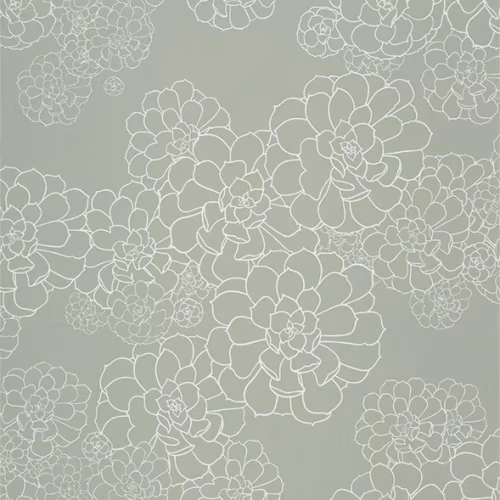 Обои Paint and Paper Library Tresco Aeonium Steel 0393AESTEEL