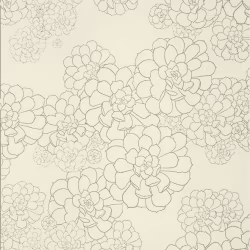 Обои Paint and Paper Library Tresco Aeonium Wattle 0393AEWATTL