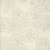Обои Paint and Paper Library Tresco Aeonium Wattle 0393AEWATTL