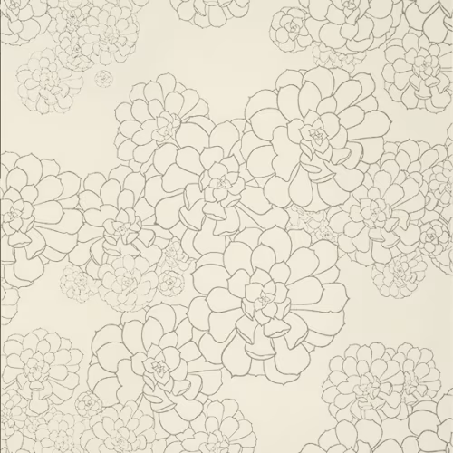 Обои Paint and Paper Library Tresco Aeonium Wattle 0393AEWATTL