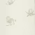 Обои Paint and Paper Library Tresco Buds Hugo 0393BUHUGOZ