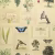 Обои John Derian Picture Book Flora And Fauna PJD6001/01