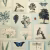 Обои John Derian Picture Book Flora And Fauna PJD6001/02