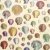 Обои John Derian Picture Book Captain Thomas Browns Shells PJD6000/01