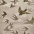Обои John Derian Picture Book Chimney Swallows PJD6003/03