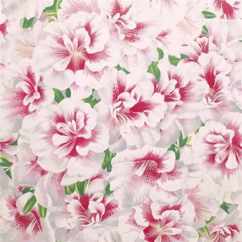 Обои John Derian Picture Book Variegated Azalea PJD6004/01