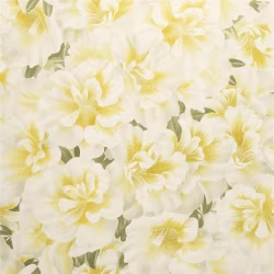 Обои John Derian Picture Book Variegated Azalea PJD6004/03
