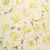 Обои John Derian Picture Book Variegated Azalea PJD6004/03