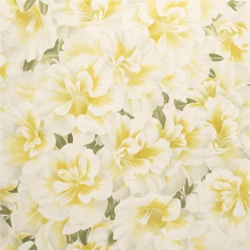 Обои John Derian Picture Book Variegated Azalea PJD6004/03