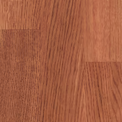 Морилка Lobadur HS 2K Intensive A.T. Color Gunstock 2,5 л