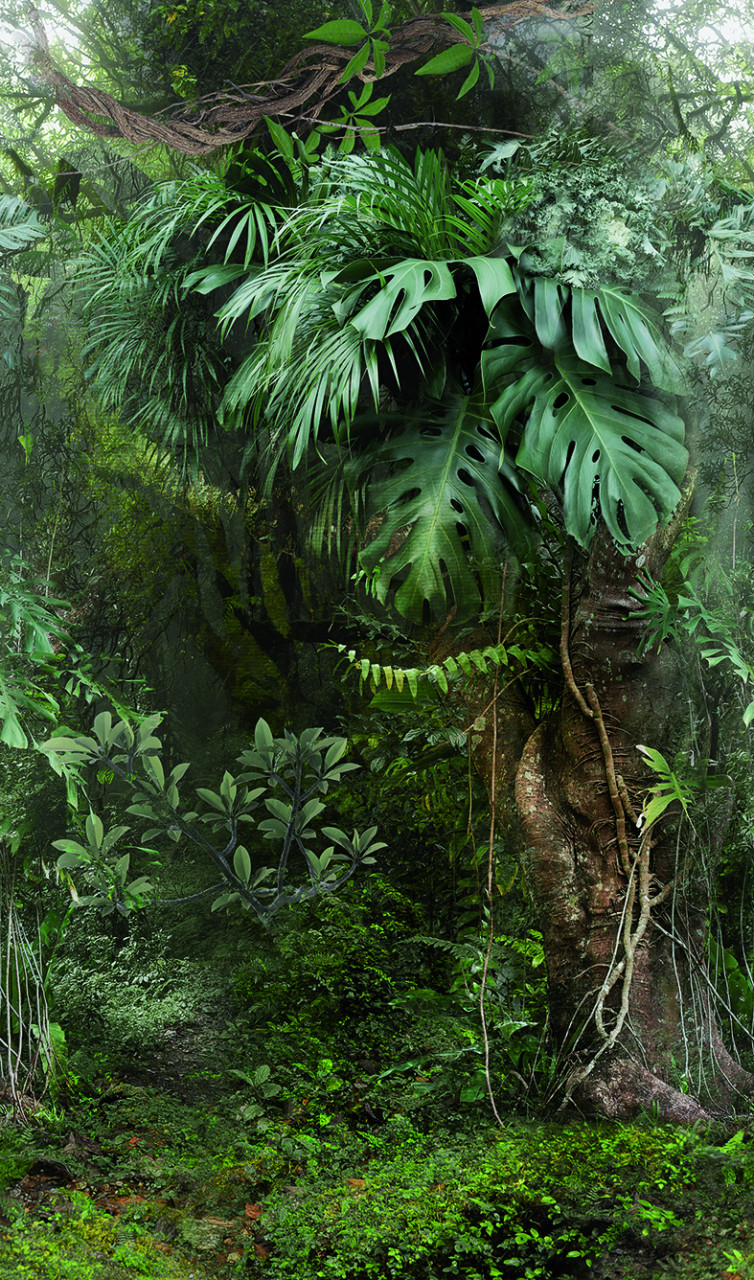 Панно Marburg Smart Art 47208 2,7×1,59