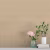 Обои Aura Spring Plain brown 1910-4 10,05×0,53 фото в интерьере