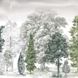 Панно Loymina Пейзаж 2 Балтийская коса ART14 005/1 3×4