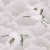 Обои Harlequin Colour 1 Cranes In Flight Platinum 111230 10,05×0,686