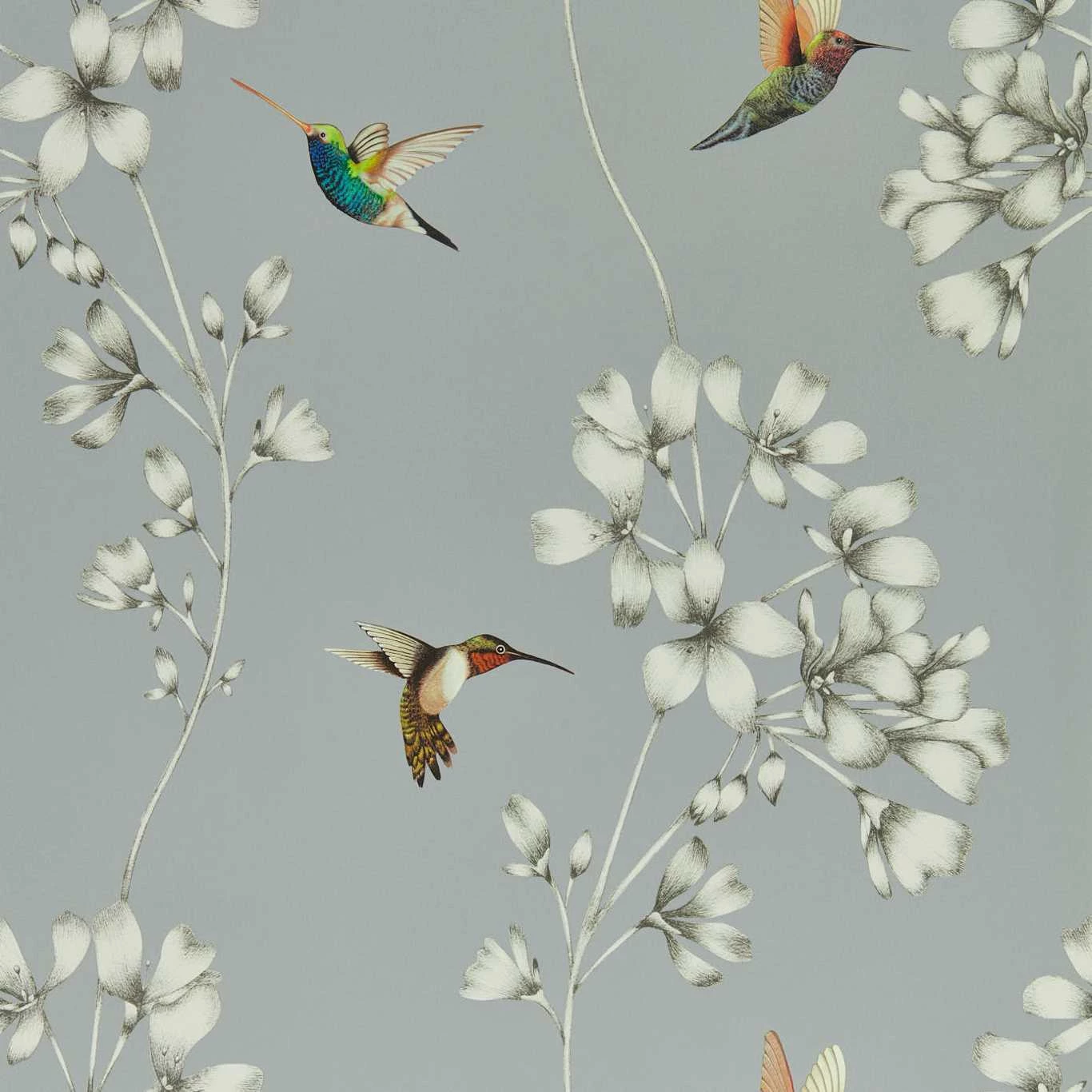 Обои Harlequin Colour 1 Amazilia French Grey/Stone 112605 10,05×0,686