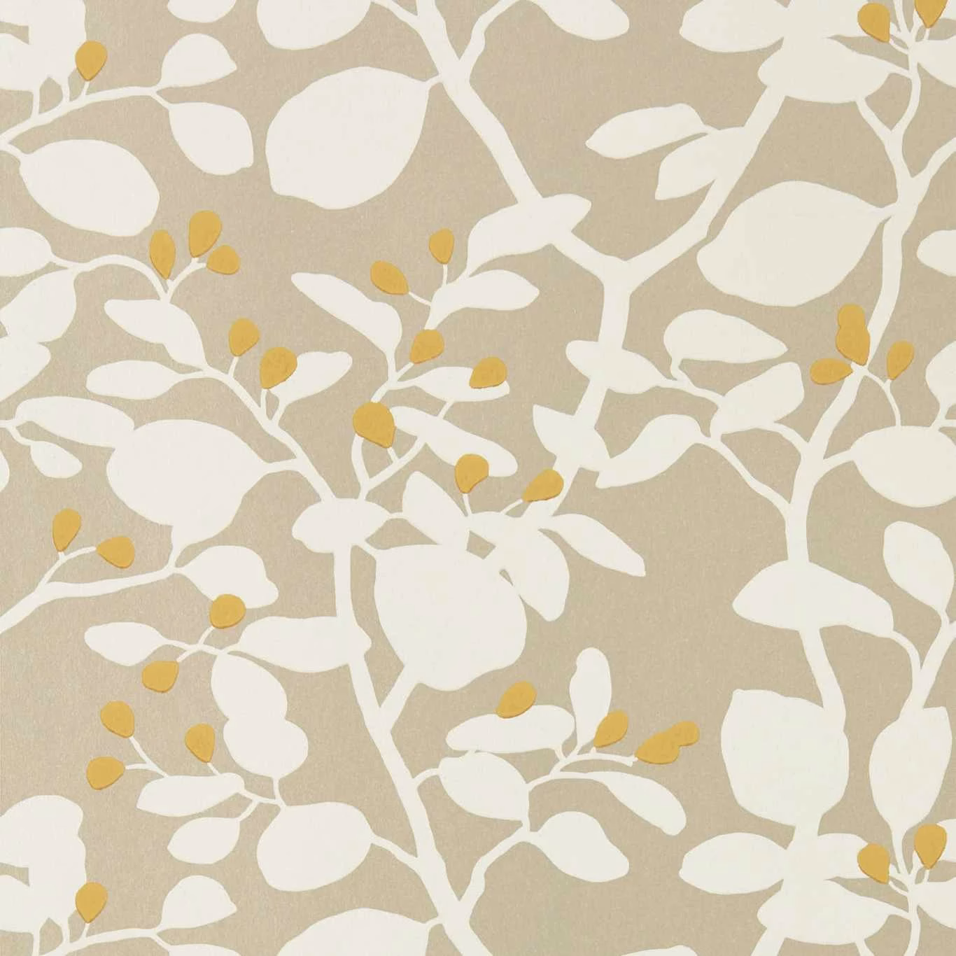 Обои Harlequin Colour 1 Ardisia Soft Focus/Oyster/Gold 112773 10,05×0,52
