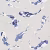 Обои Harlequin Colour 4 Koi Indigo 110902 10,05×0,686