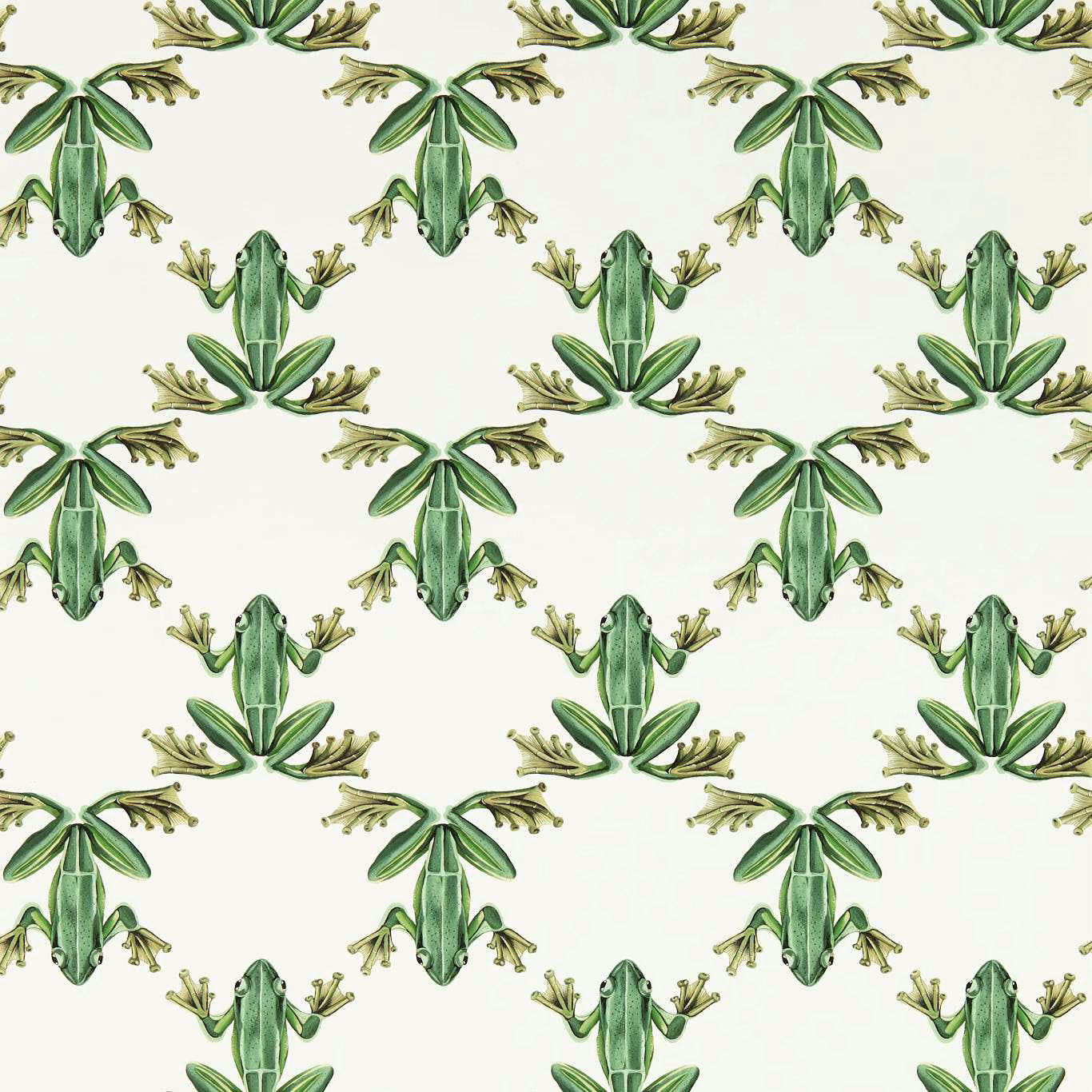 Обои Harlequin Colour 4 Wood Frog Forest/Chalk 113011 10,05×0,52