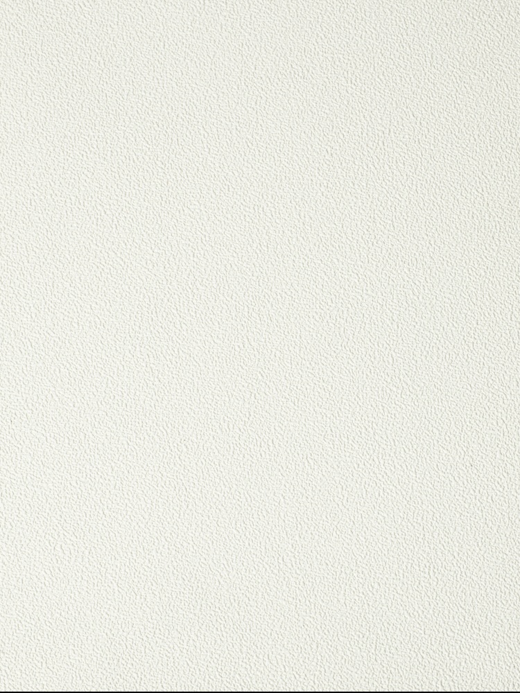 Обои под покраску New Company Antivandal 4025-010 25×1,06