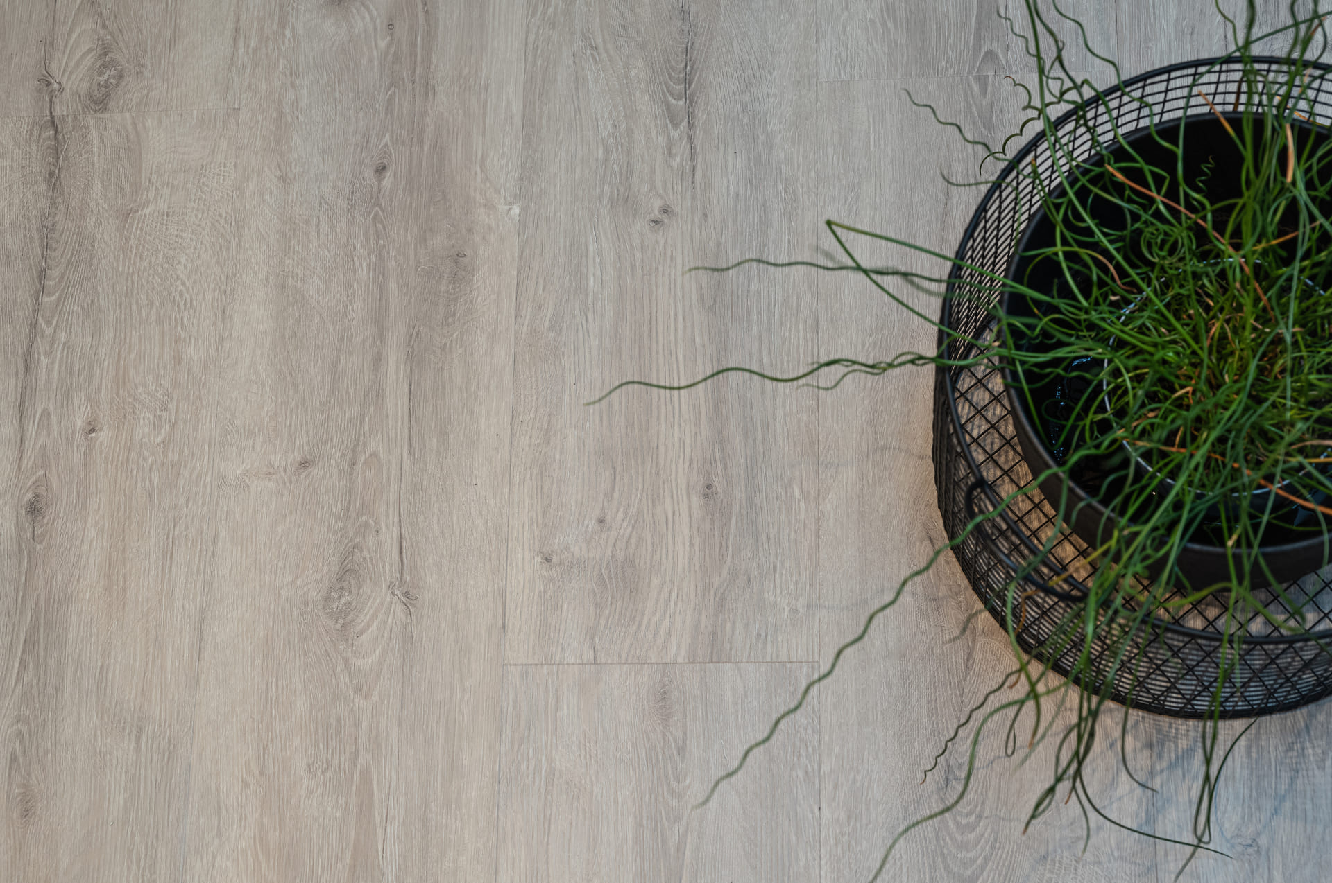 Кварцвиниловый SPC ламинат Vinilam Vinipol Дуб Неаполь 7897-EIR 1220×228×6 фото в интерьере