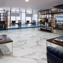 Кварцвиниловая плитка Damy Floor клеевая Ascent LVT Эверест 124-1-LVT 912,4×455,2×2,5