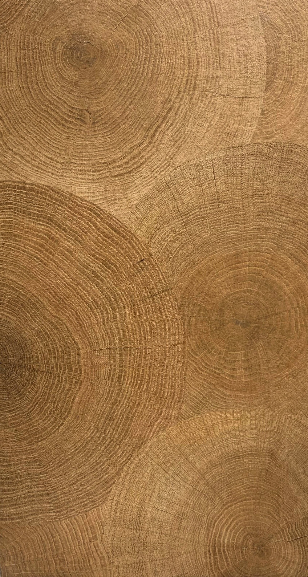 Кварцвиниловый SPC ламинат Vinilam Ceramo Stone Дуб Натуральный 61601 940×470×8